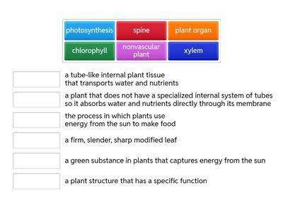 Science4 Chapter 4 Vocab Review 