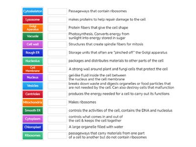 Function of Cell Organelles