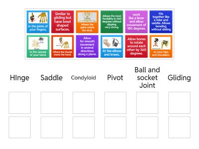 EFC Synovial Joint Types