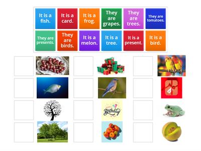 English World Unit 6