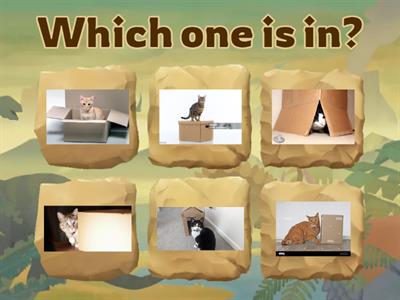 Prepositions (on, in, under, behind, in front of, next to) 