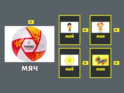 Игра на согласование существительных с местоимениями