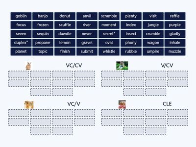 Syllable Division Sort: VC/CV, V/CV, VC/V, /CLE