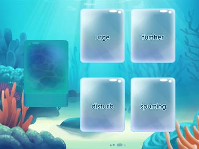 5.5 ur Word Cards               Hoz 