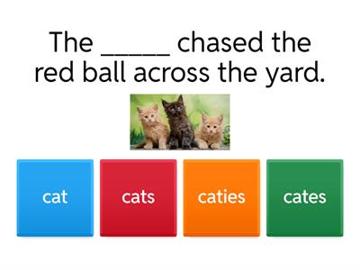 Regular and Irregular Plural Nouns Practice