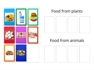 Sort the sources of food from plants and animals 