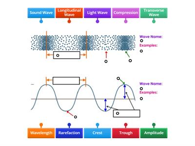 Transverse & Longitudinal Waves