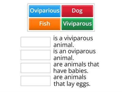 Viviparous & Oviparous Definitons 