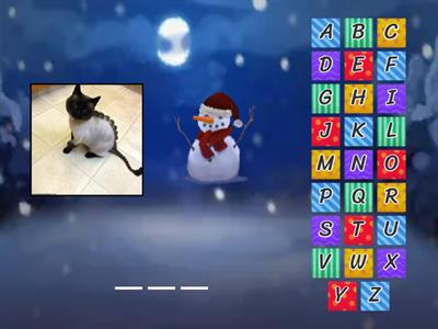 CVC, CVCC, early digraphs Hamish