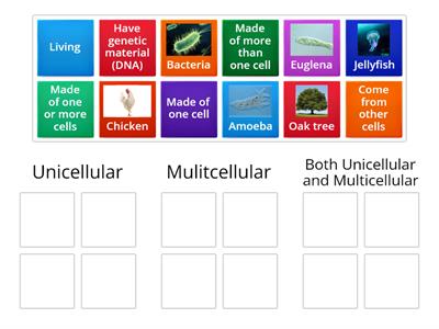 Unicellular and Multicellular Organisms