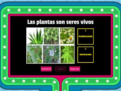 LAS PLANTAS - 4° GRADO (CARACTERÍSTICAS COMUNES Y REPRODUCCIÓN)