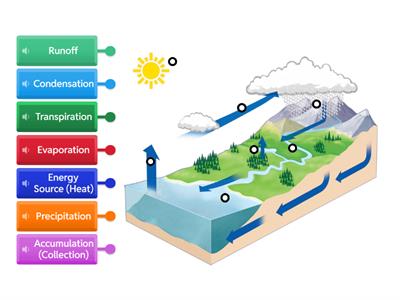 Water Cycle Labeled Diagram 