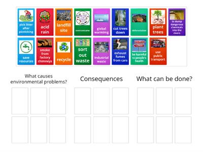 Environmental Problems - Sorting