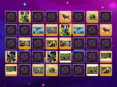 съвпадение на двойки - животни