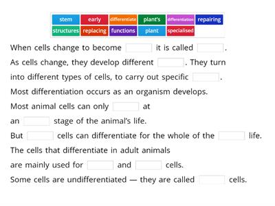 B2.3 Stem Cells