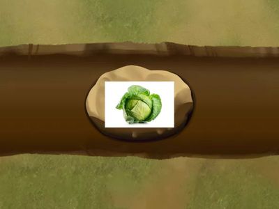 Слоговая структура слова 8 класс