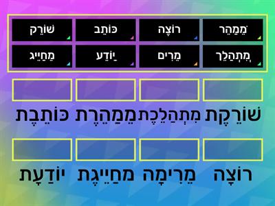 זכר נקבה