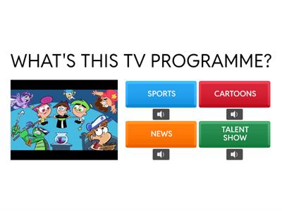  TV PROGRAMMES