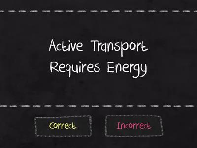 Active Transport Quiz