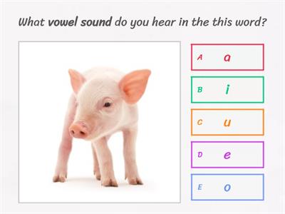 Short Vowel Sounds