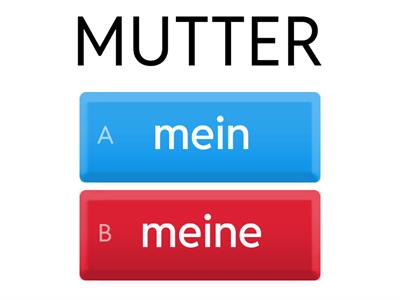 Meine Familie - mein oder meine