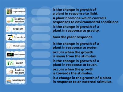 Plant Tropisms 7th grade