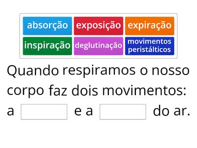 Sistema Respiratório