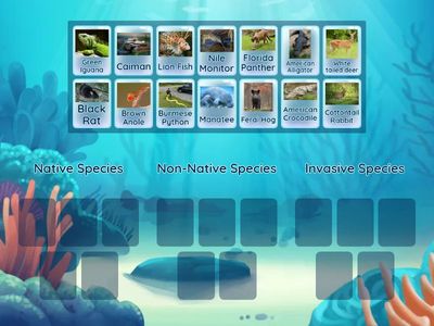 Everglades Native vs Non-native vs Invasive