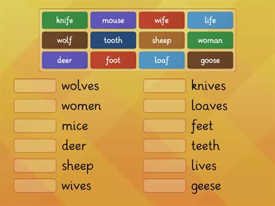 Irregular Plural Nouns