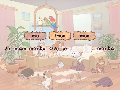 Moj/tvoj/njegov/njen - A1.1