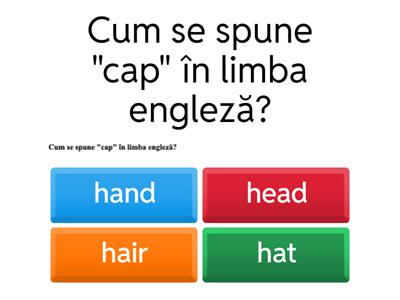 Body Parts Vocabulary 