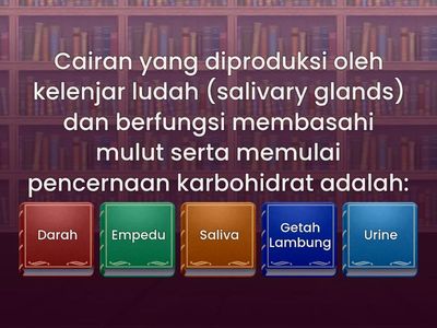 Quiz Crown Mentoring 1 👑🦷