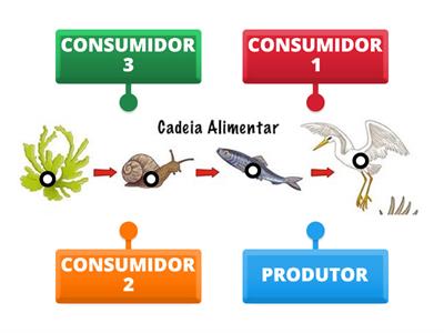 3 CADEIA ALIMENTAR - 28/10-4º ANO