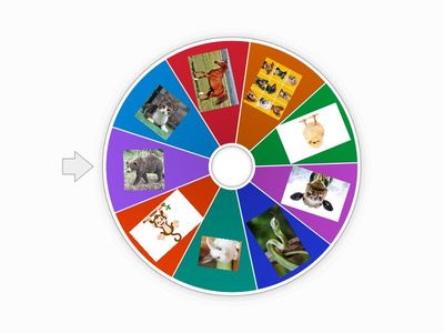 What type of animal is this?