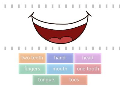 body parts 2 - find the match