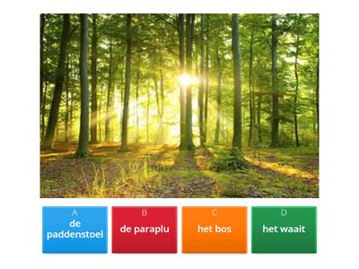 Quiz  Woordenschat - de herfst - groep 3 #Meester Max