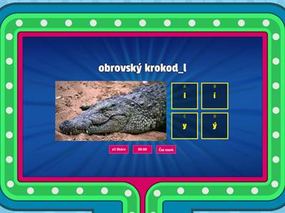 Měkké a tvrdé souhlásky soutěžní pořad - 2.C