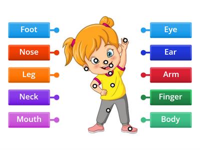  Частини тіла 