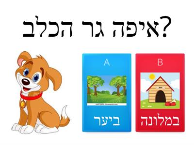 איפה גרות החיות?