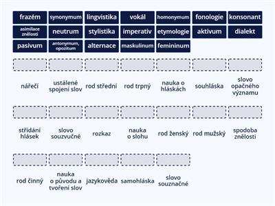 Lingvistická terminologie