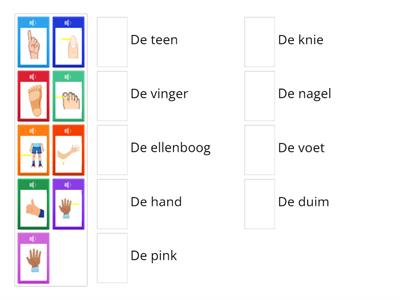 Luisteren Woordenschat het Lichaam 2