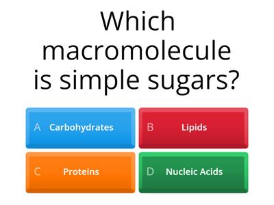 Macromolecules Quiz