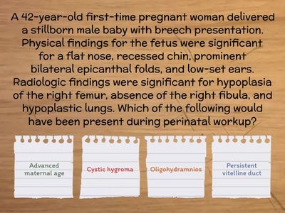 Embryology: Urinary system