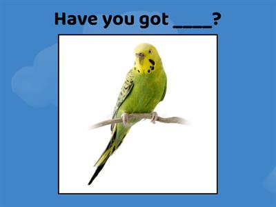 3 кл, WB, Unit 4, Lesson 3