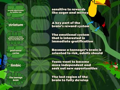 Drag and Drop Matching Content from 'Why the Teenage Brain Has an Evolutionary Advantage'