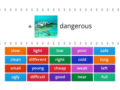 EF Elementary 2B Adjectives 