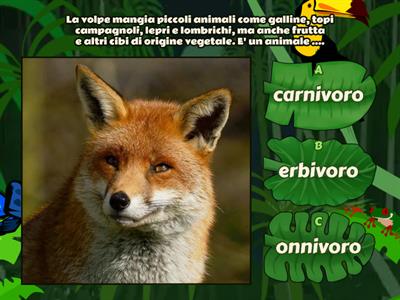 Animali Erbivori e carnivori - Risorse didattiche