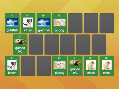 Matching Pairs- Pets