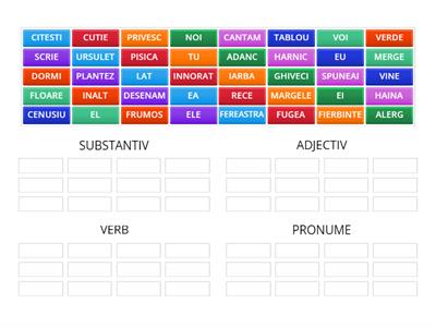 SUBSTANTIV, ADJECTIV, VERB SAU PRONUME?