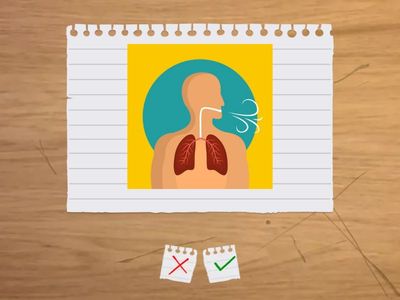 FF3_Unit_4_Dolphin_Dreams_Reading